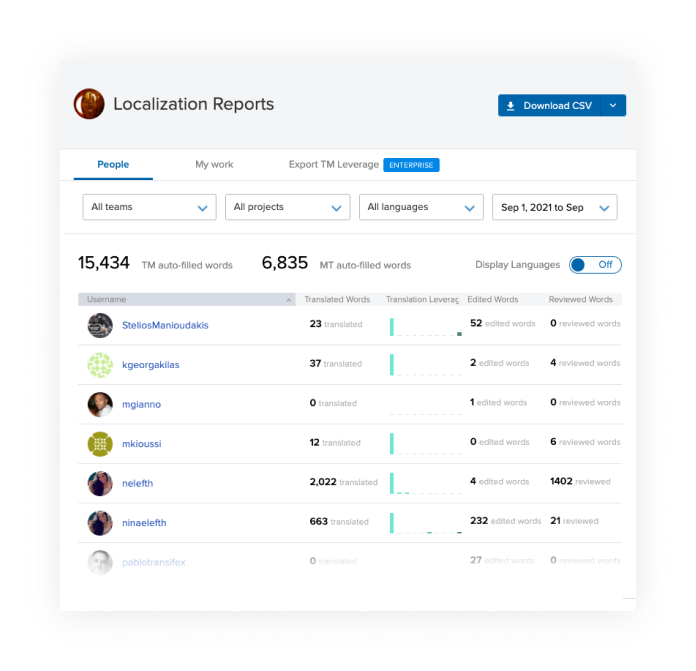 Translation activity report localization tool