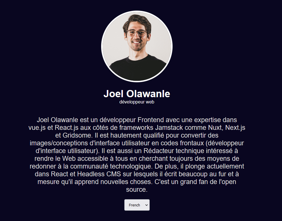 Vue localization