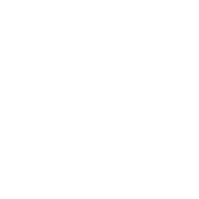 Django white
