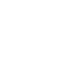 Zendesk white