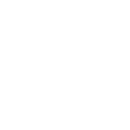apple-256